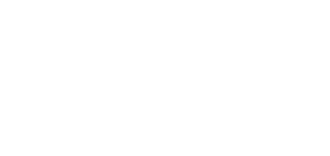 German Innovation Award 2024_white